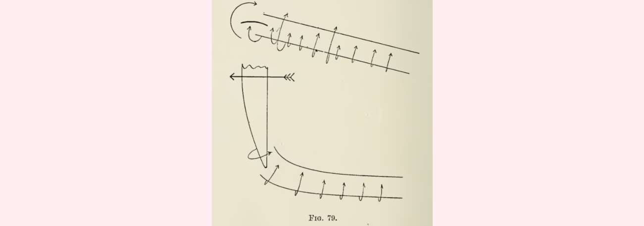 Vortex theory of flight